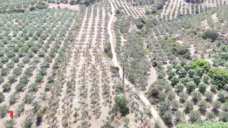 Αγροτεμάχια 8.000 τ.μ. για πώληση, Ν. Ρεθύμνου, Αρκάδι-thumb-7