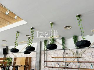 Κατάστημα 239 τ.μ. για πώληση, Αχαΐα, Ρίο-thumb-3