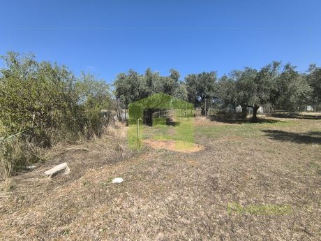 Αγροτεμάχια 4.000τ.μ. για πώληση-Δυτικής αχαΐας » Άνω αχαΐα
