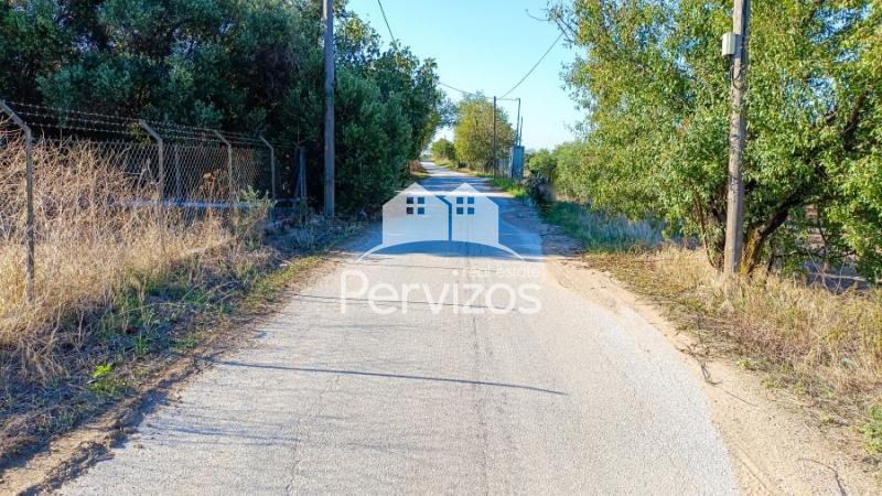 Αγροτεμάχια 5.000 τ.μ. πρός πώληση, Θεσσαλονίκη - Περιφ/Κοί Δήμοι, Επανομή