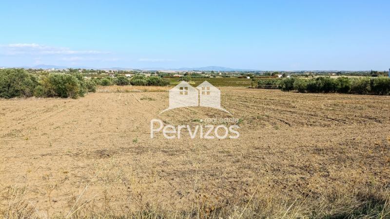 Αγροτεμάχια 5.000 τ.μ. πρός πώληση, Θεσσαλονίκη - Περιφ/Κοί Δήμοι, Επανομή