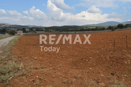 Parcel 16.000sqm for sale-Thermi » Center Of Thermi