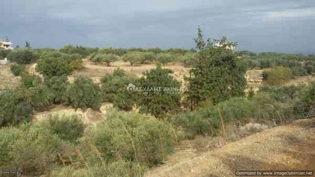 Οικόπεδο 4.600 τ.μ. προς πώληση, Σκοτεινό