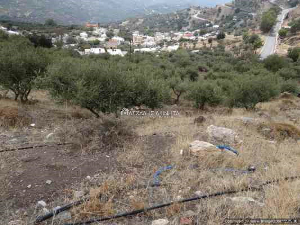 Οικόπεδο 3.300 τ.μ. προς πώληση, Αμιράς