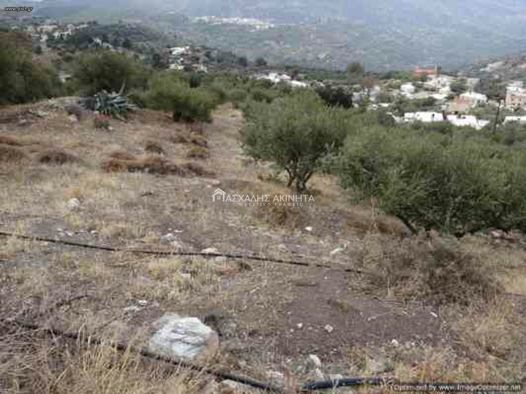 Οικόπεδο 3.300 τ.μ. προς πώληση, Αμιράς