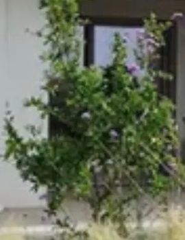 Μονοκατοικία 90τ.μ. για πώληση-Κορωπί » Αγία μαρίνα