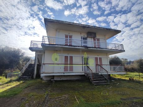 Other 5.000sqm for sale-Dytikis Achaias » StenaΐTika