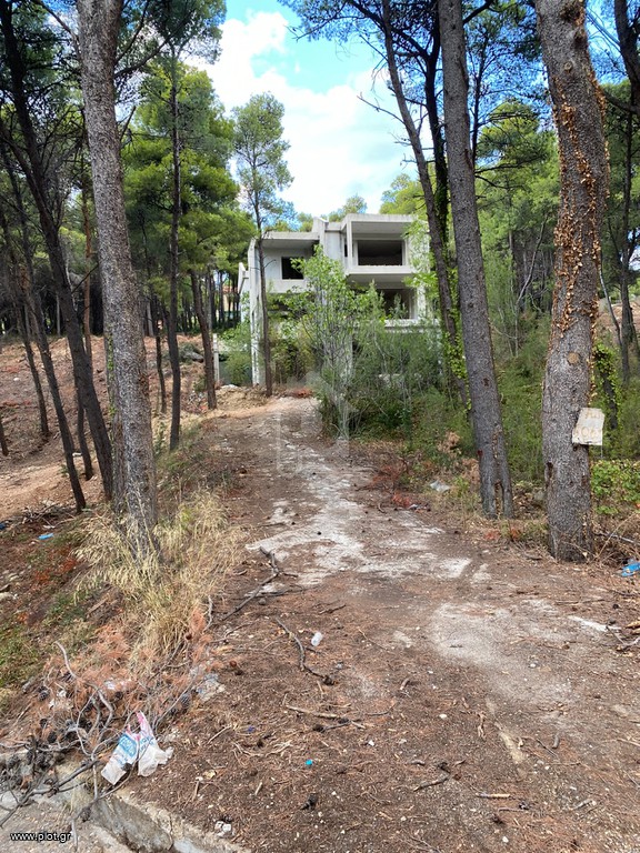 Μονοκατοικία 450 τ.μ. προς πώληση, Θρακομακεδόνες