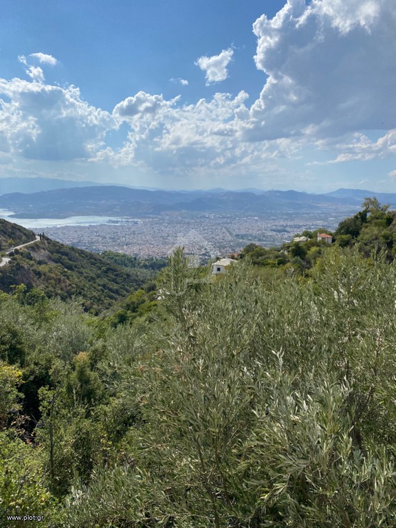 Οικόπεδο 13.500 τ.μ. πρός πώληση, Μαγνησία, Πορταριά
