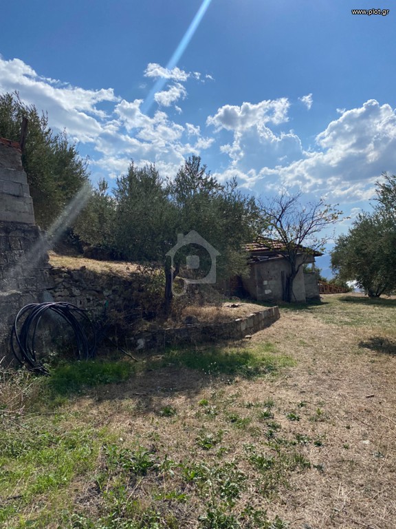 Οικόπεδο 13.500 τ.μ. πρός πώληση, Μαγνησία, Πορταριά