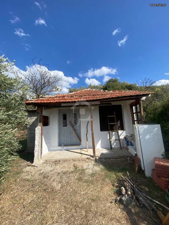 Οικόπεδο 13.500 τ.μ. πρός πώληση, Μαγνησία, Πορταριά