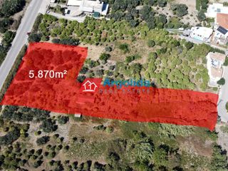 Οικόπεδο 5.870 τ.μ. για πώληση, Αχαΐα, Ακράτα-thumb-10