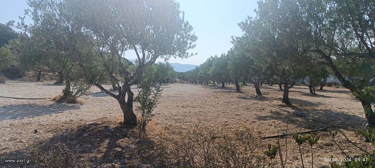 Αγροτεμάχια 15.000 τ.μ. για πώληση, Ν. Λασιθίου, Ιεράπετρα