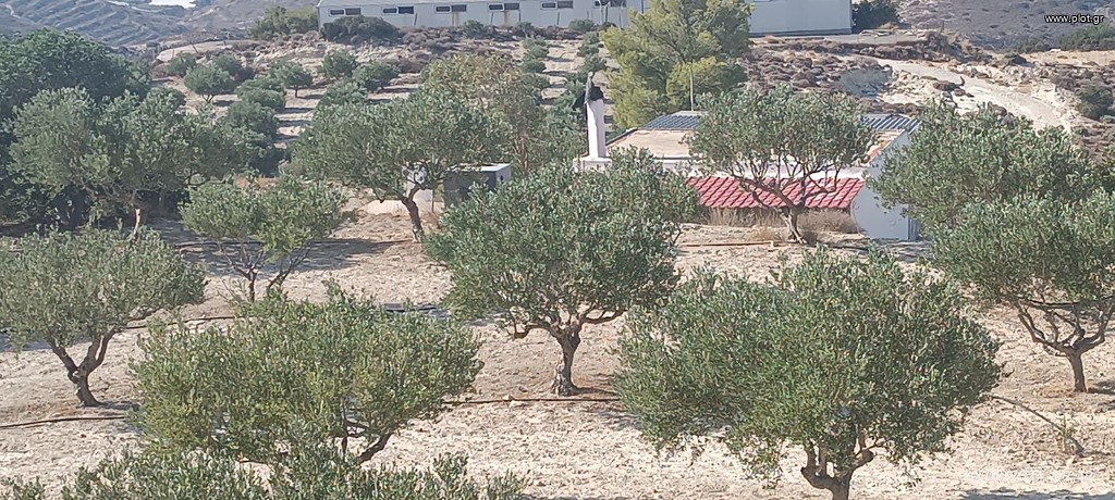 Αγροτεμάχια 15.000 τ.μ. πρός πώληση, Ν. Λασιθίου, Ιεράπετρα
