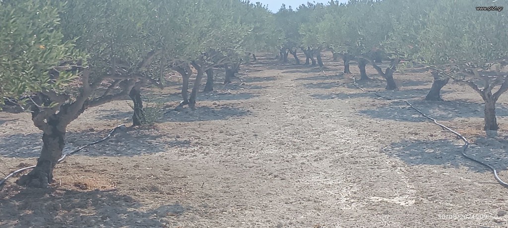 Αγροτεμάχια 15.000 τ.μ. πρός πώληση, Ν. Λασιθίου, Ιεράπετρα