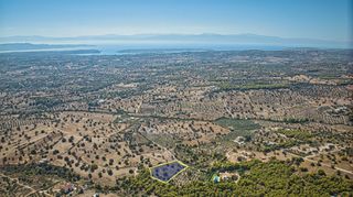 Αγροτεμάχια 4.015 τ.μ. για πώληση, Αργολίδα, Κρανίδι-thumb-20