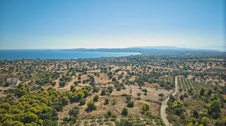 Αγροτεμάχια 4.015 τ.μ. για πώληση, Αργολίδα, Κρανίδι-thumb-4