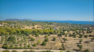 Αγροτεμάχια 4.015 τ.μ. για πώληση, Αργολίδα, Κρανίδι-thumb-5