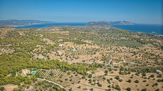 Αγροτεμάχια 4.015 τ.μ. για πώληση, Αργολίδα, Κρανίδι-thumb-13