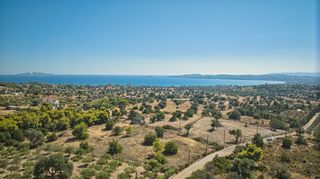 Αγροτεμάχια 4.015 τ.μ. για πώληση, Αργολίδα, Κρανίδι-thumb-3