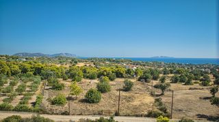 Αγροτεμάχια 4.015 τ.μ. για πώληση, Αργολίδα, Κρανίδι-thumb-6