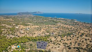 Αγροτεμάχια 4.015 τ.μ. για πώληση, Αργολίδα, Κρανίδι-thumb-9