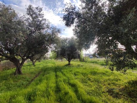 Land plot 1.690sqm for sale-Rio » Agios Vasileios