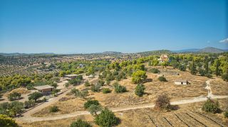 Αγροτεμάχια 4.055 τ.μ. για πώληση, Αργολίδα, Κρανίδι-thumb-19