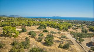Αγροτεμάχια 4.055 τ.μ. για πώληση, Αργολίδα, Κρανίδι-thumb-1