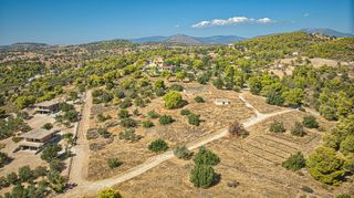Αγροτεμάχια 4.055 τ.μ. για πώληση, Αργολίδα, Κρανίδι-thumb-20