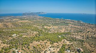 Αγροτεμάχια 4.055 τ.μ. για πώληση, Αργολίδα, Κρανίδι-thumb-14