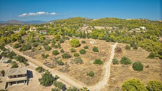 Αγροτεμάχια 4.055 τ.μ. για πώληση, Αργολίδα, Κρανίδι-thumb-3