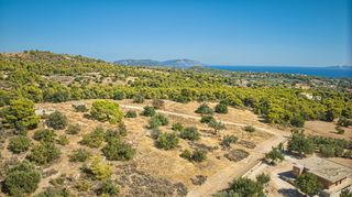 Αγροτεμάχια 4.055 τ.μ. για πώληση, Αργολίδα, Κρανίδι-thumb-2