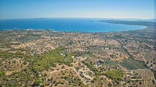 Αγροτεμάχια 4.055 τ.μ. για πώληση, Αργολίδα, Κρανίδι-thumb-13