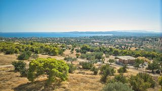 Αγροτεμάχια 4.055 τ.μ. για πώληση, Αργολίδα, Κρανίδι-thumb-22