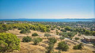 Αγροτεμάχια 4.055 τ.μ. για πώληση
