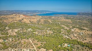 Αγροτεμάχια 4.055 τ.μ. για πώληση, Αργολίδα, Κρανίδι-thumb-8