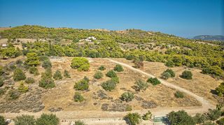 Αγροτεμάχια 4.055 τ.μ. για πώληση, Αργολίδα, Κρανίδι-thumb-21