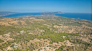 Αγροτεμάχια 4.055 τ.μ. για πώληση, Αργολίδα, Κρανίδι-thumb-6