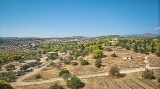 Αγροτεμάχια 4.138 τ.μ. για πώληση, Αργολίδα, Κρανίδι-thumb-21