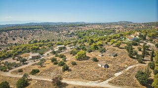 Αγροτεμάχια 4.138 τ.μ. για πώληση, Αργολίδα, Κρανίδι-thumb-22