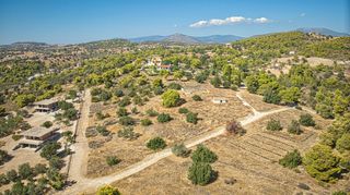 Αγροτεμάχια 4.138 τ.μ. για πώληση, Αργολίδα, Κρανίδι-thumb-7