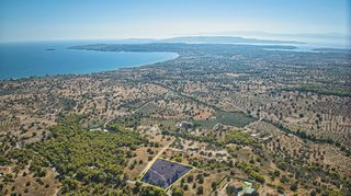 Αγροτεμάχια 4.138 τ.μ. για πώληση, Αργολίδα, Κρανίδι-thumb-11