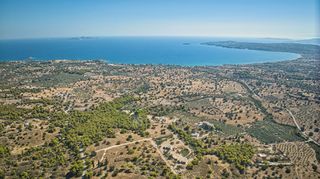 Αγροτεμάχια 4.138 τ.μ. για πώληση, Αργολίδα, Κρανίδι-thumb-13