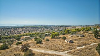 Αγροτεμάχια 4.138 τ.μ. για πώληση, Αργολίδα, Κρανίδι-thumb-23
