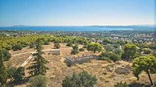 Αγροτεμάχια 4.138 τ.μ. για πώληση