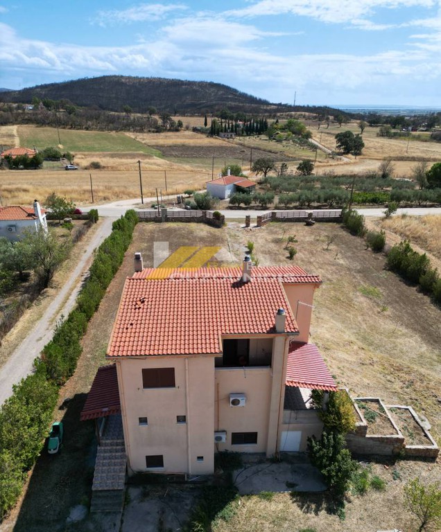 Μονοκατοικία 300 τ.μ. πρός πώληση, Εβρος, Τραϊανούπολη