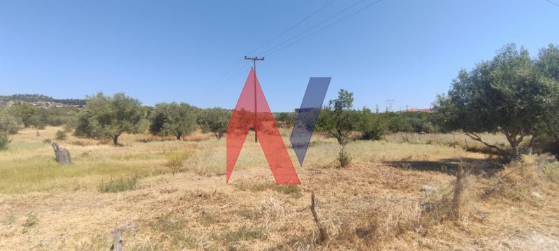 Αγροτεμάχια 5.600 τ.μ. πρός πώληση, Μαγνησία, Νέα Ιωνία Βόλου