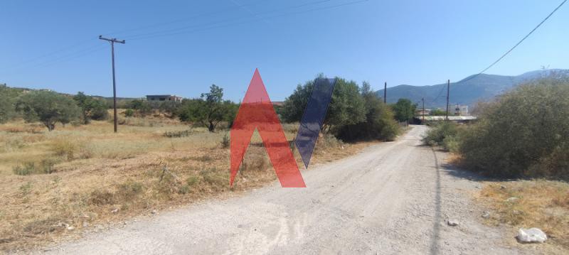 Αγροτεμάχια 5.600 τ.μ. πρός πώληση, Μαγνησία, Νέα Ιωνία Βόλου
