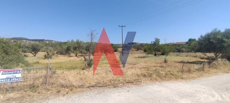 Αγροτεμάχια 5.600 τ.μ. πρός πώληση, Μαγνησία, Νέα Ιωνία Βόλου
